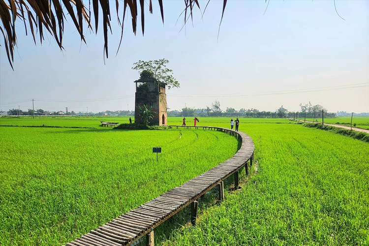 Du lịch nông thôn gắn với OCOP : Khai thác giá trị khác biệt để tạo điểm nhấn - Anh 1