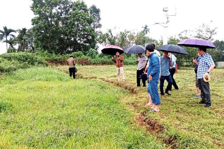 Quảng Nam: Xuất hiện vết nứt lớn tại khu vực Trạm khí tượng Trà My - Anh 1
