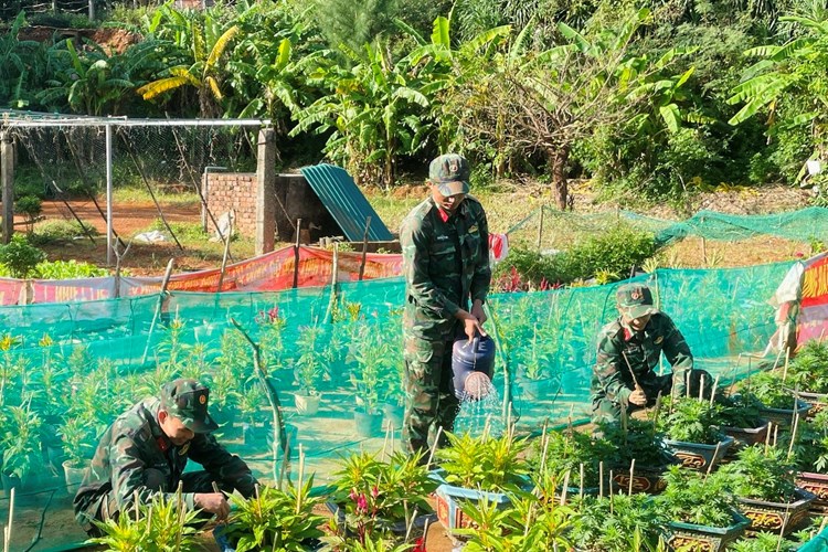 Bộ đội Quảng Ngãi trang trí, trồng hoa đón Tết - Anh 1