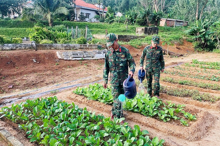 Bộ đội Quảng Ngãi trang trí, trồng hoa đón Tết - Anh 5