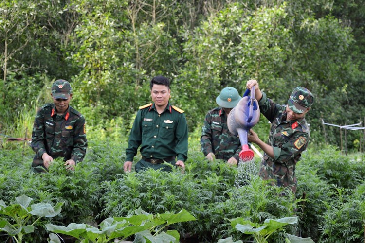 Bộ đội Quảng Ngãi trang trí, trồng hoa đón Tết - Anh 2