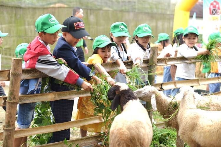 Du lịch tham quan, học tập hút khách đầu năm - Anh 7