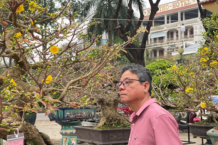 Đa dạng hoa, cây cảnh ở chợ hoa Xuân lớn nhất Quảng Ngãi - Anh 3