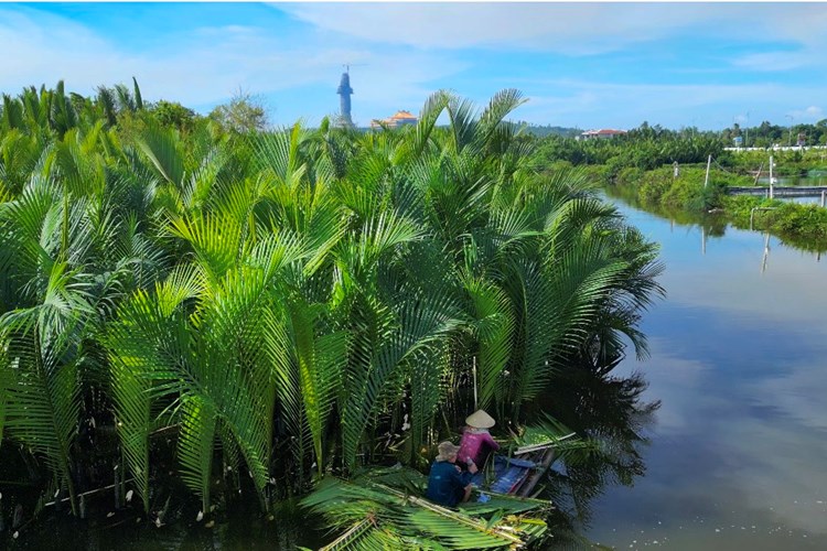 Du Xuân khám phá rừng dừa nước Tịnh Khê - Anh 5