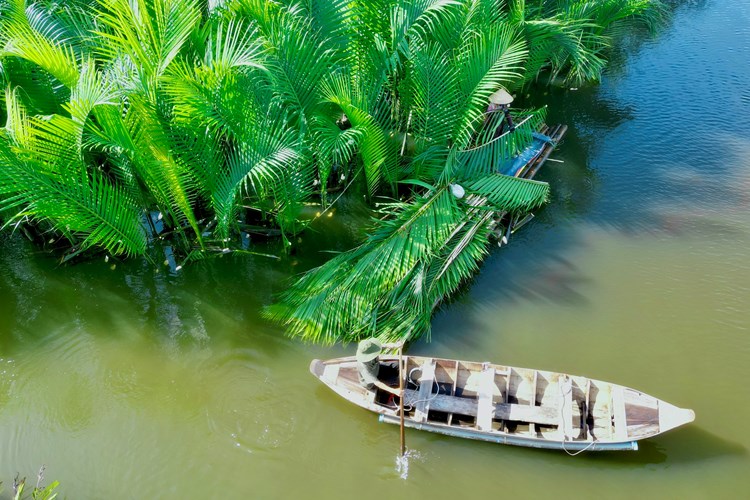 Du Xuân khám phá rừng dừa nước Tịnh Khê - Anh 3