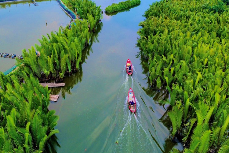 Du Xuân khám phá rừng dừa nước Tịnh Khê - Anh 1