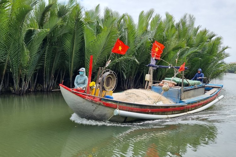 Du Xuân khám phá rừng dừa nước Tịnh Khê - Anh 2