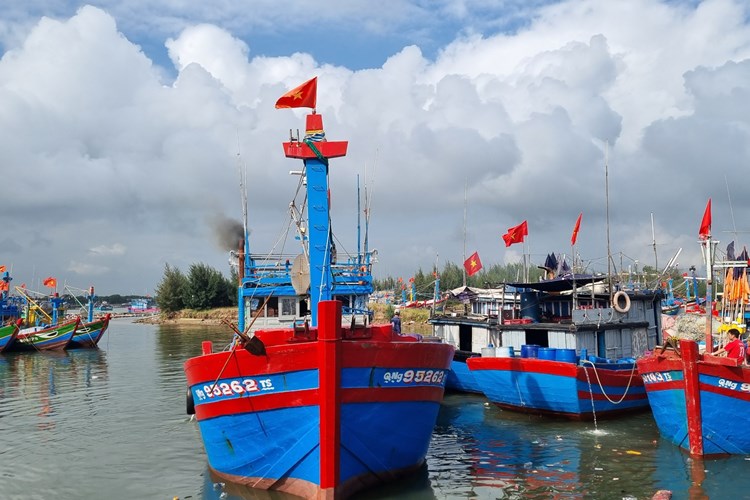 Quảng Ngãi: Ra quân đánh bắt hải sản, kỳ vọng năm mới bội thu - Anh 4