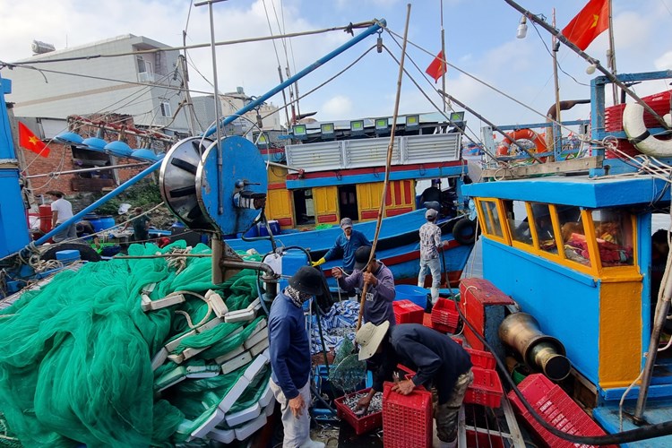 Ngư dân làng biển Quảng Ngãi trúng đậm mùa cá cơm - Anh 2