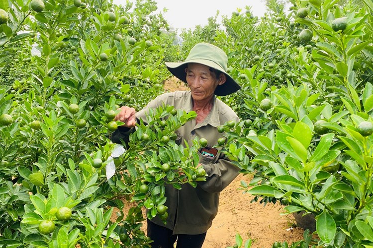 Quảng Nam: Bảo tồn giá trị truyền thống, bản sắc văn hóa của làng nghề - Anh 2