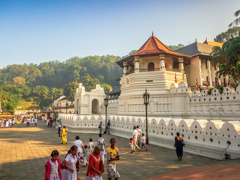 Quảng bá “đảo lộng lẫy” Sri Lanka tới doanh nghiệp du lịch Việt Nam - Anh 5