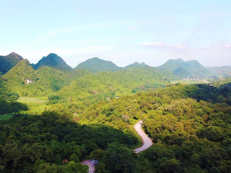 Cuc Phuong Jungle Paths 2022 – Giải chạy xuyên rừng có cự ly lên tới 70km - Anh 1