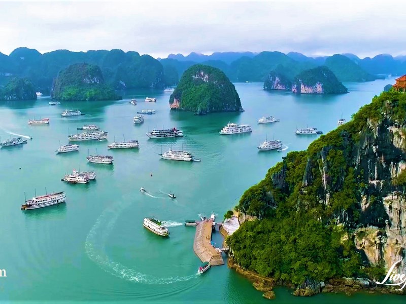 Hãy tỏa sáng và trải nghiệm trọn vẹn tại Việt Nam - Anh 1