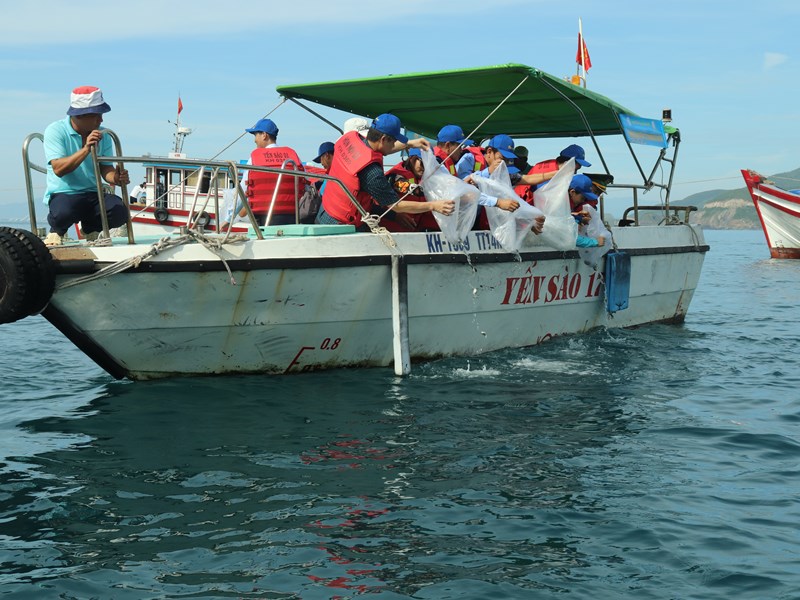 Lễ hội thả sinh vật biển bảo vệ môi trường vịnh Nha Trang - Anh 2