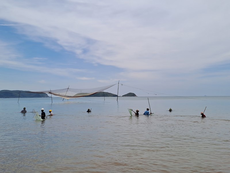 Ngư dân bãi ngang Quảng Bình hồ hởi đi xúc ruốc biển - Anh 1