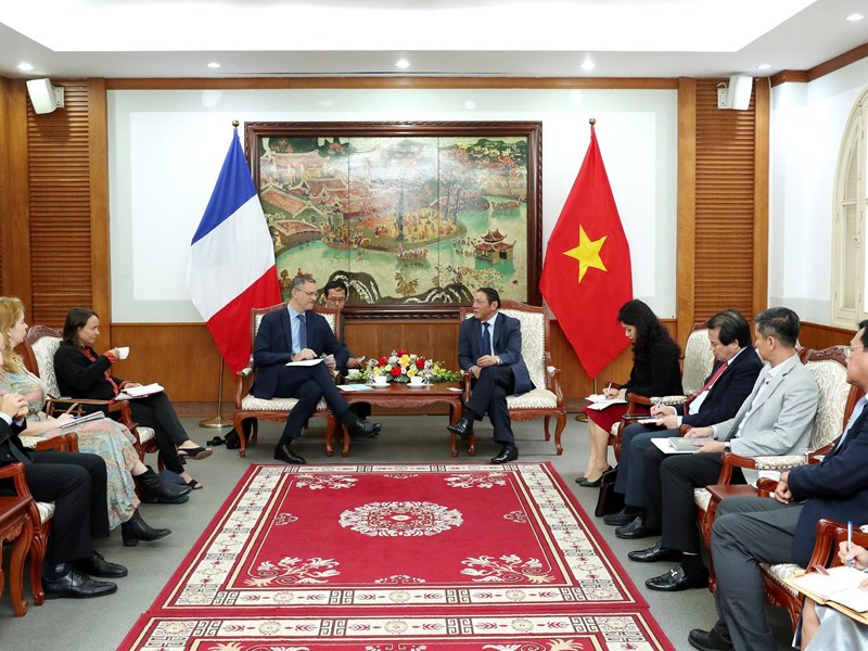 Việt Nam – Pháp: Tăng cường hợp tác VHTTDL - Anh 2