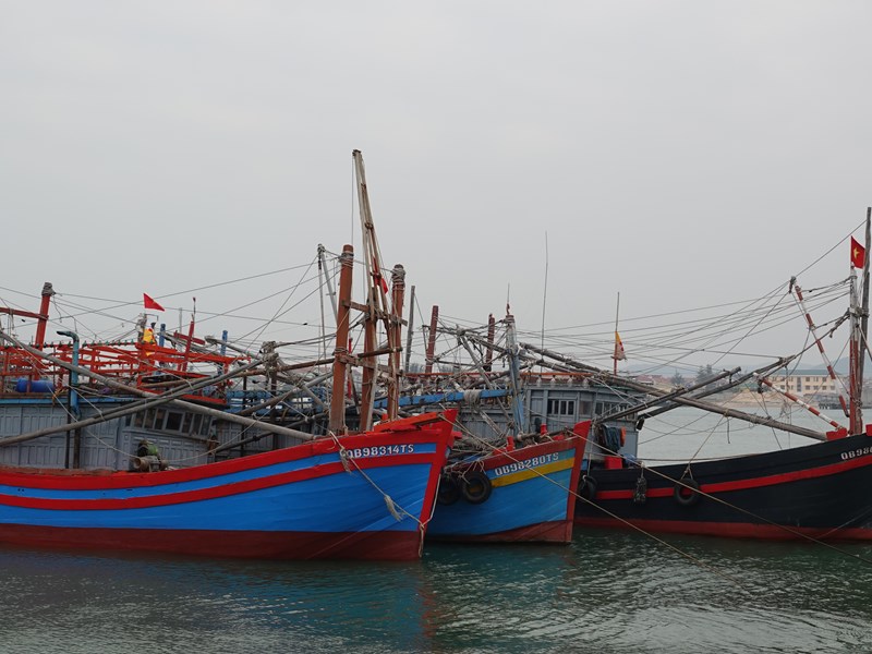 Quảng Bình hỗ trợ cước thuê bao dịch vụ giám sát hành trình cho tàu cá xa bờ - Anh 2
