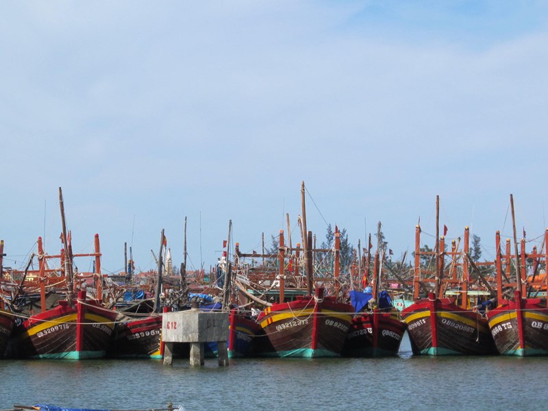 Quảng Bình hỗ trợ cước thuê bao dịch vụ giám sát hành trình cho tàu cá xa bờ - Anh 1