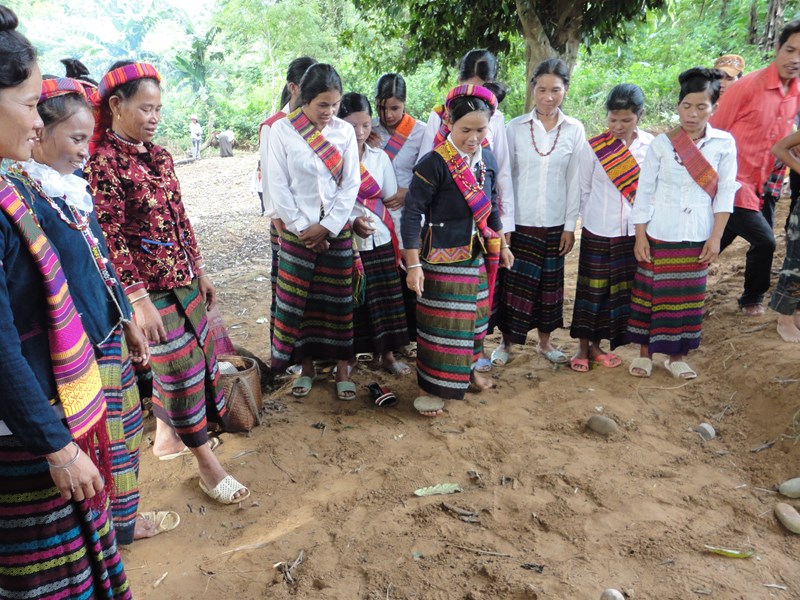 “Viên ngọc quý” của đại ngàn Trường Sơn - Anh 4