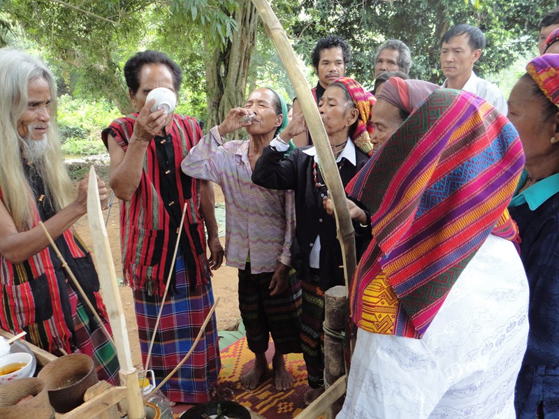 “Viên ngọc quý” của đại ngàn Trường Sơn - Anh 1