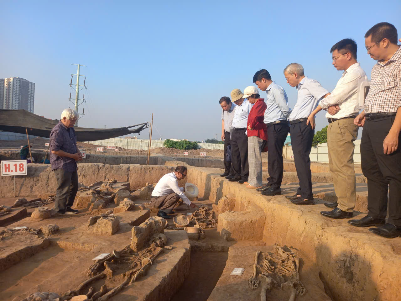 Butuh solusi konservasi yang tepat - foto 3