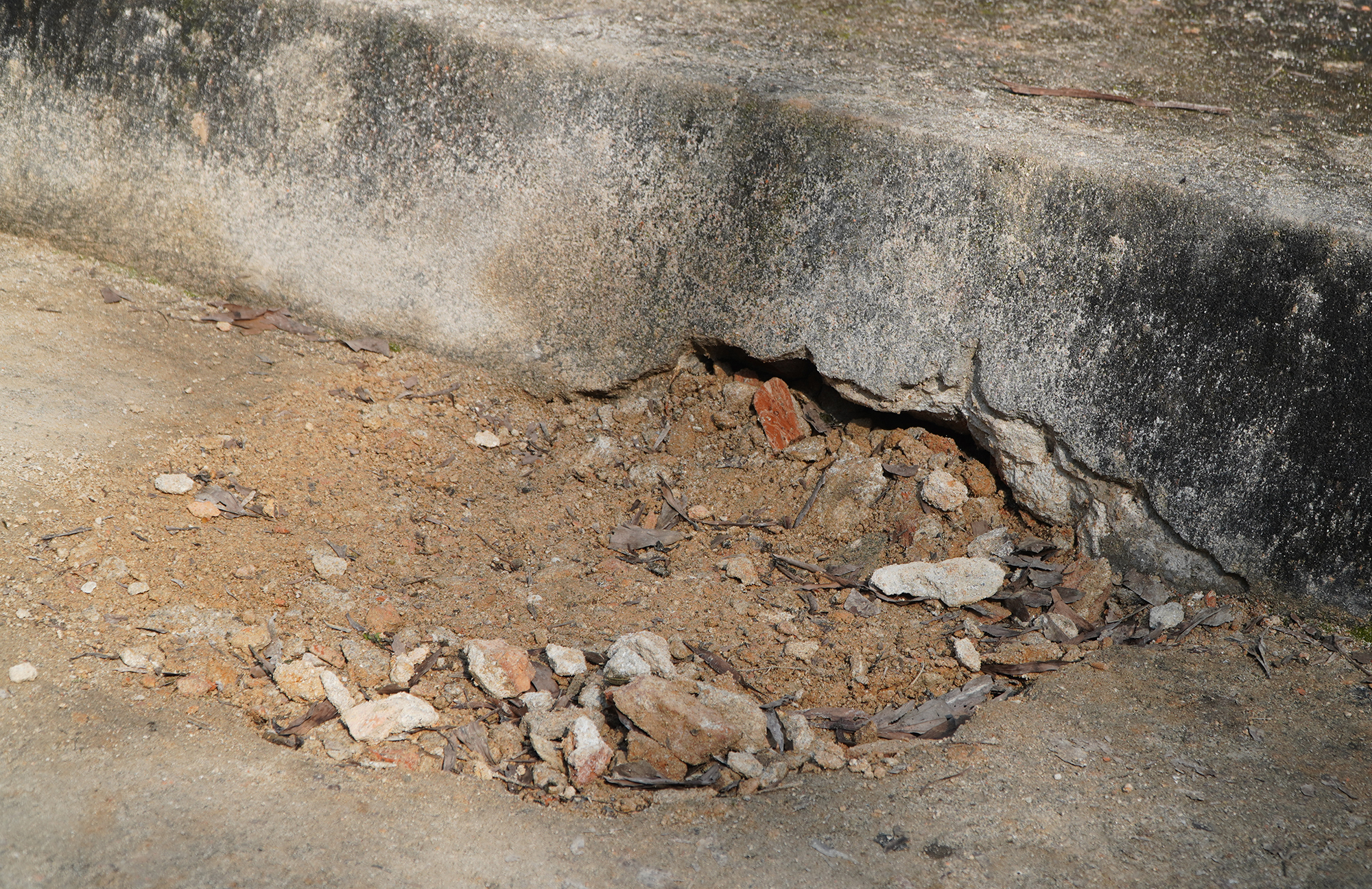 អាជ្ញាធរបានរកឃើញថាផ្នូររបស់ព្រះអម្ចាស់ ង្វៀន ភុក ឃោត ត្រូវបានគេលួច - រូបថតទី 2