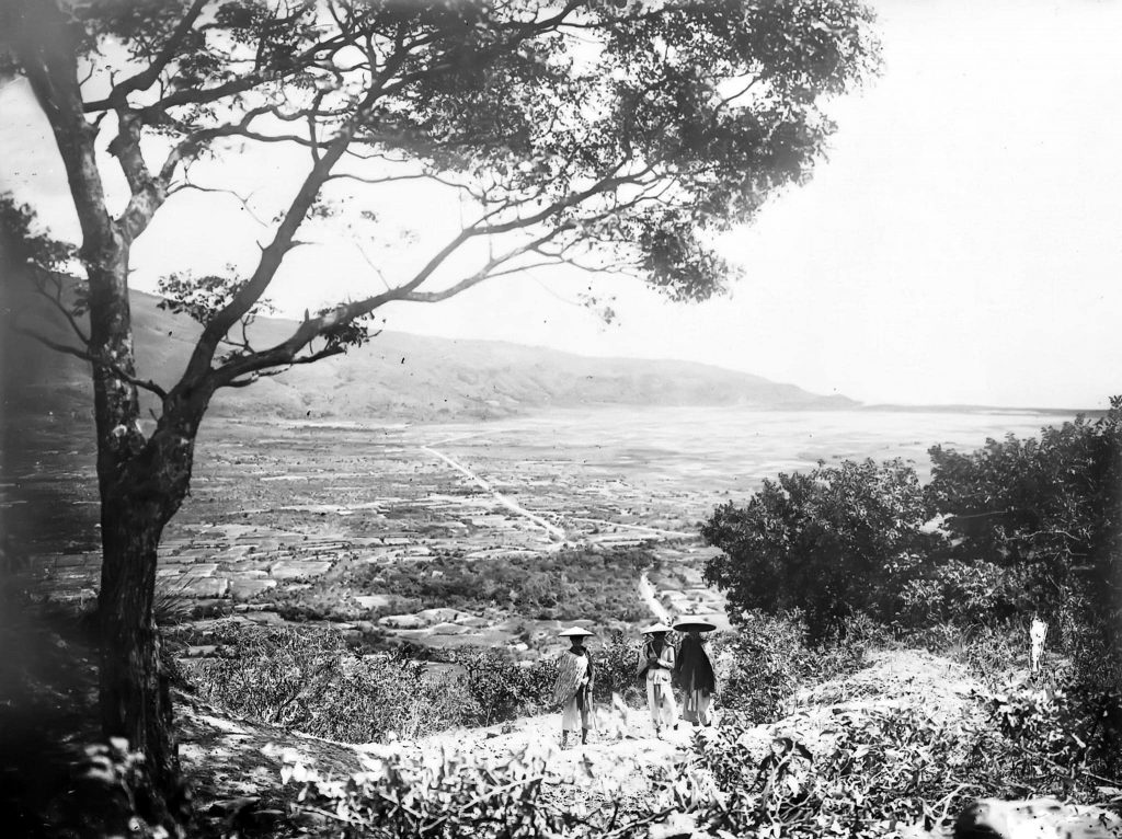 លាតត្រដាងផ្លូវ