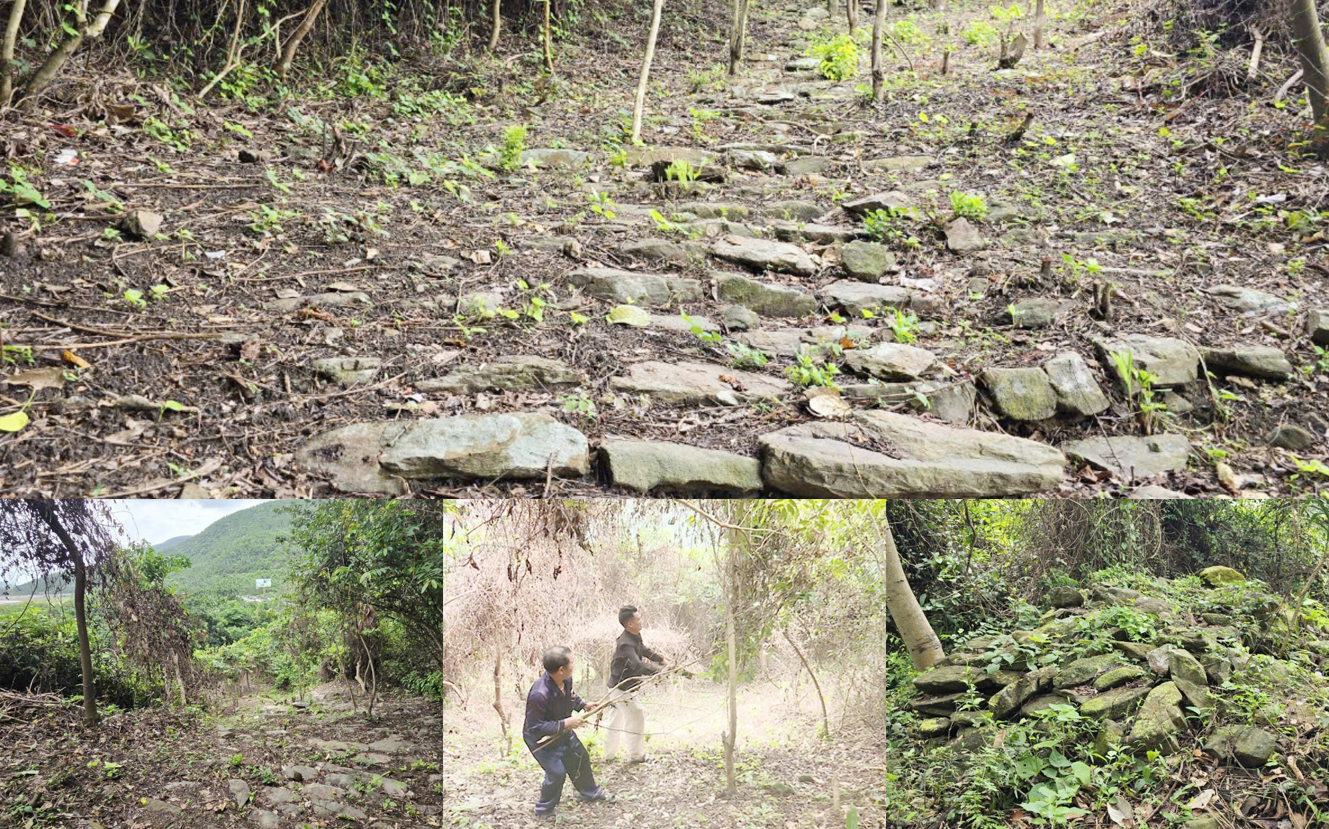 លាតត្រដាងផ្លូវ