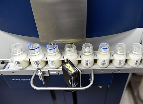 Độ an toàn của sữa tươi Cô gái Hà Lan tăng từ 10 lên 11 lần so với chuẩn Việt Nam - ảnh 1