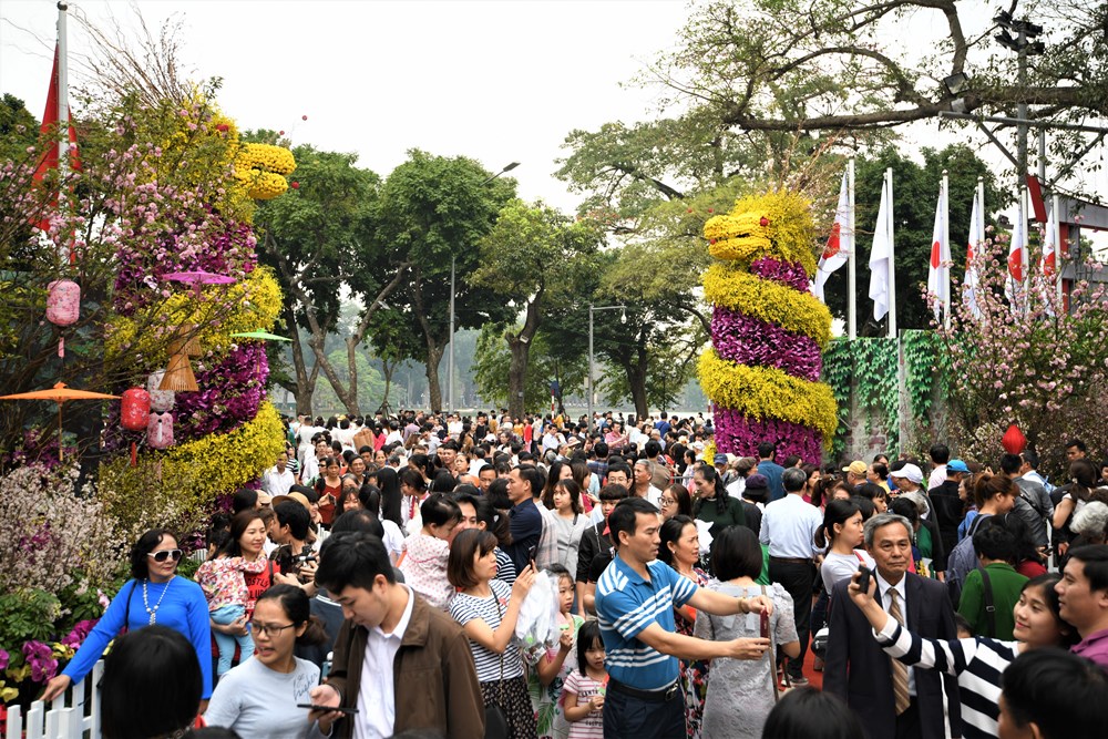 Lễ hội hoa anh đào Nhật Bản- Hà Nội 2019 - ảnh 7