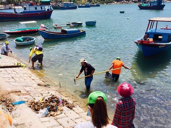Khu du lịch vịnh Vĩnh Hy: Người dân tự nhặt rác, làm sạch rạn san hô - ảnh 3