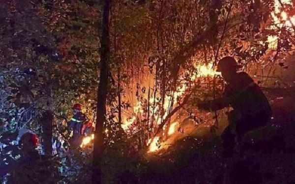 Trắng đêm dập lửa cứu rừng ở Nghệ An - ảnh 3