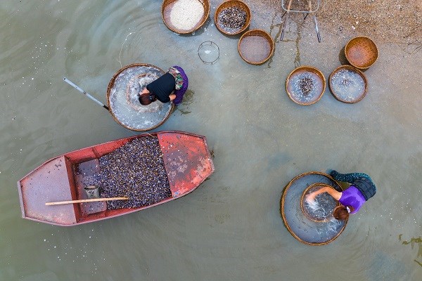 Làng nghề “đãi hến” hơn 300 tuổi, nét đẹp bên bờ sông La - ảnh 8