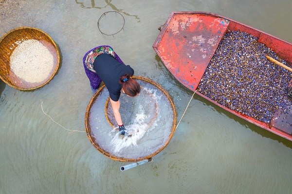 Làng nghề “đãi hến” hơn 300 tuổi, nét đẹp bên bờ sông La - ảnh 7