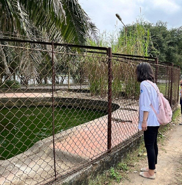 Bất an lo cá sấu sổng chuồng ở công viên lớn nhất Nghệ An - ảnh 7