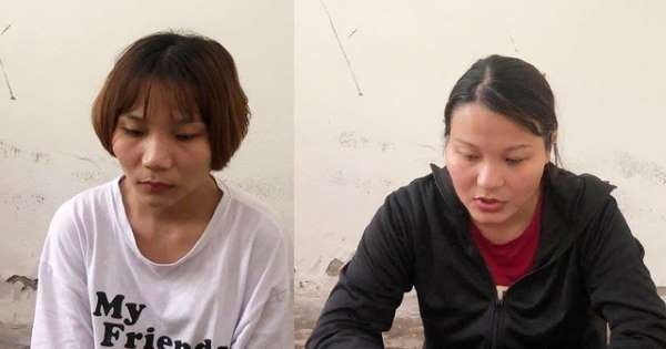 Nghệ An: Triệt phá đường dây đưa phụ nữ mang thai sang Trung Quốc bán con - ảnh 1