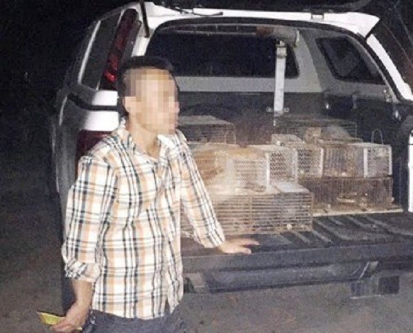 Nghệ An: Bắt giữ xe bán tải chở 60 cá thể dúi trong đêm đang đi tiêu thụ - ảnh 1