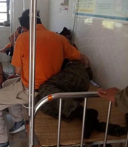 Nghệ An: Đi tảo mộ, 7 người nhập viện vì bị ong rừng tấn công - ảnh 1