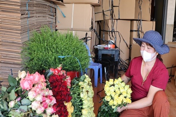 Lâm Đồng: Giá hoa hồng tăng cao trước lễ 8.3 - ảnh 1