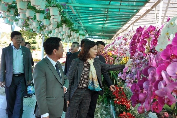 Lâm Đồng: Khai Hội hoa Xuân 2020 - ảnh 1