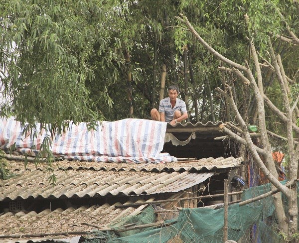 Bình Định: Khẩn trương sơ tán hơn 14.500 hộ dân tới nơi an toàn - ảnh 2