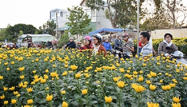 Kon Tum: Cuốn hút Hội chợ hoa Xuân Kỷ Hợi 2019 - ảnh 2