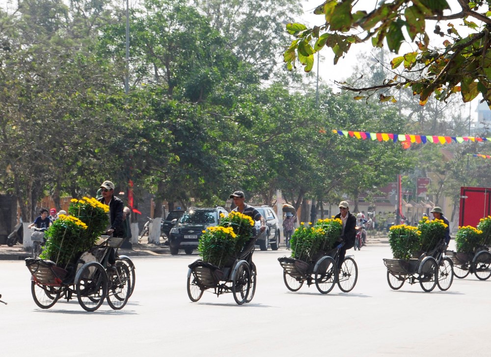 Lễ hội hoa quốc tế năm 2023 sẽ diễn ra tại Quảng Bình - ảnh 1