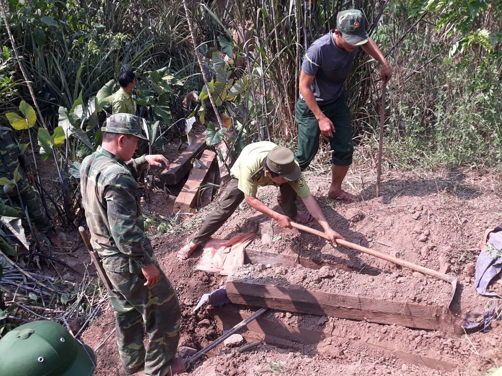 Vụ phá rừng gỗ mun ở Phong Nha – Kẻ Bàng: Tìm thấy 3 hầm gỗ mun ở vườn nhà dân - ảnh 1