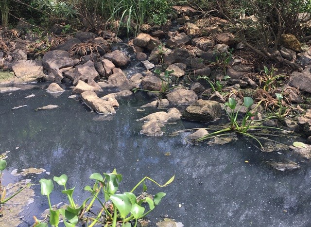 Xử phạt 66 triệu đồng đối với công ty Fococev Quảng Bình vì xả nước thải ra môi trường - ảnh 3
