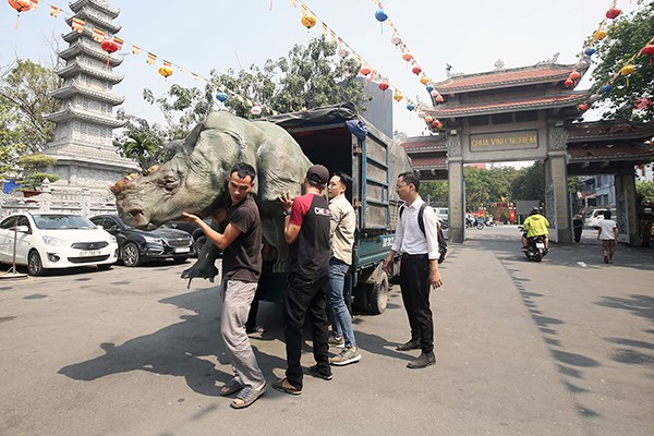 Tượng động vật hoang dã bất ngờ xuất hiện trong tư thế quỳ trước tượng Phật tại chùa Vĩnh Nghiêm, TP.HCM - ảnh 2