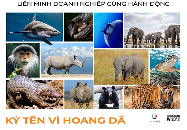 Các tổ chức môi trường hoan nghênh động thái quyết liệt của Chính phủ Việt Nam - ảnh 1