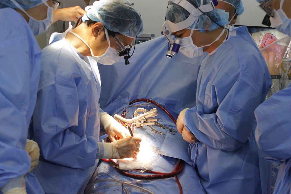Việt Nam tự tin chia sẻ trực tuyến với các chuyên gia quốc tế về phẫu thuật tái tạo van tim - ảnh 1