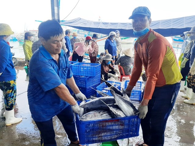Khánh Hòa:  Ngư dân vui mừng đón nhận 