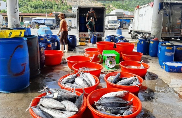Khánh Hòa:  Ngư dân vui mừng đón nhận 